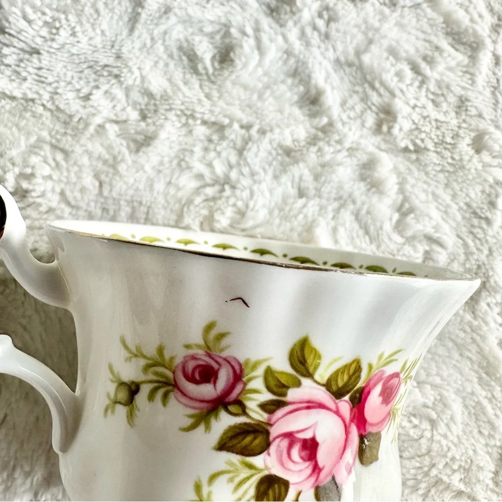 Vintage Royal Albert Teacup Flower of the Month June Roses Floral Leaf 1970 READ